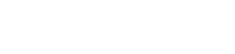 Lasorella Builders logo