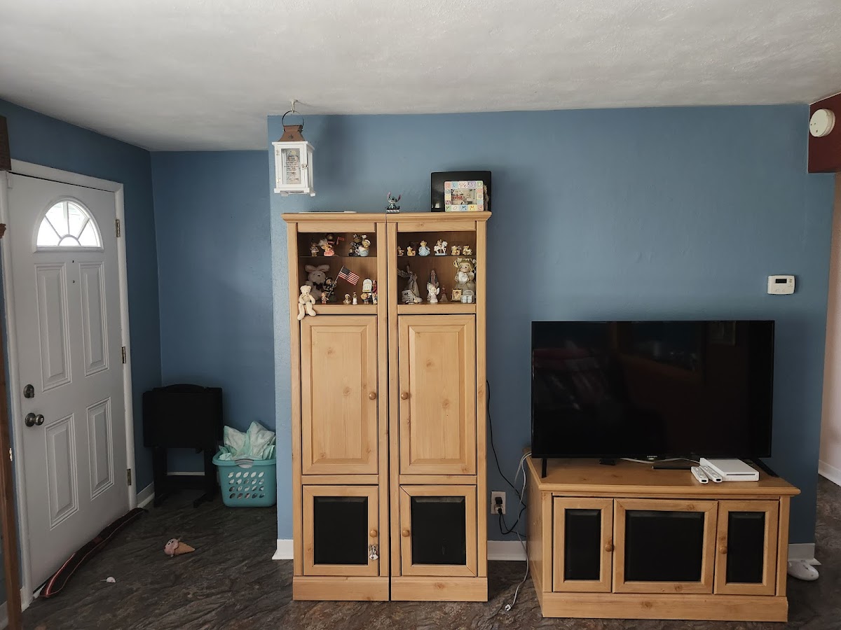 Kane Painting, LLC painters project photo