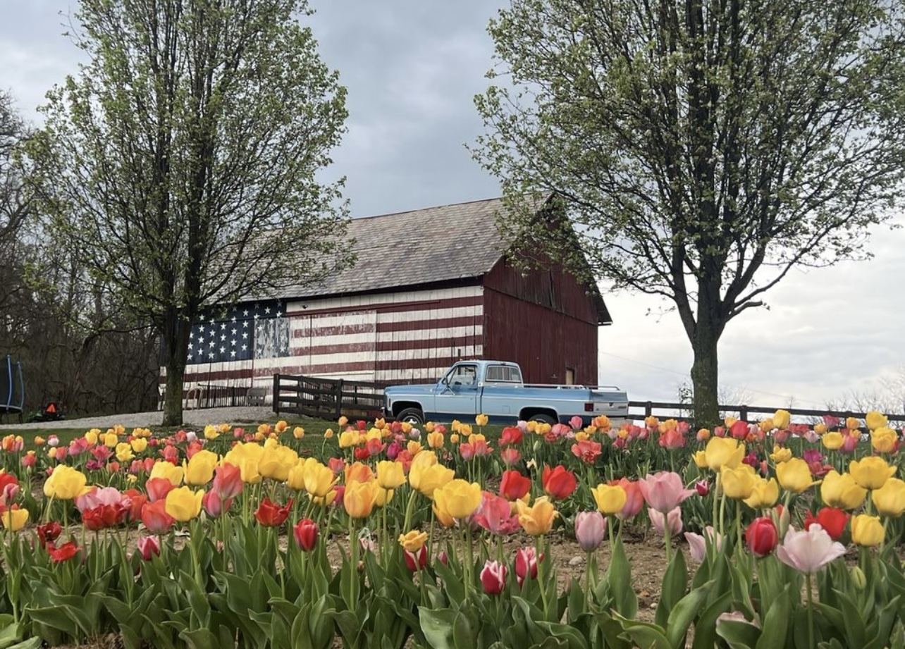 Pretty Petals Flower Farm florists project photo