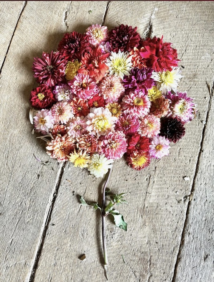 Pretty Petals Flower Farm florists project photo
