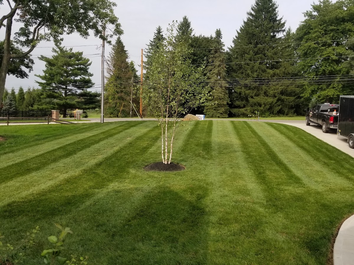 Carver's Lawn Care LLC landscapers project photo