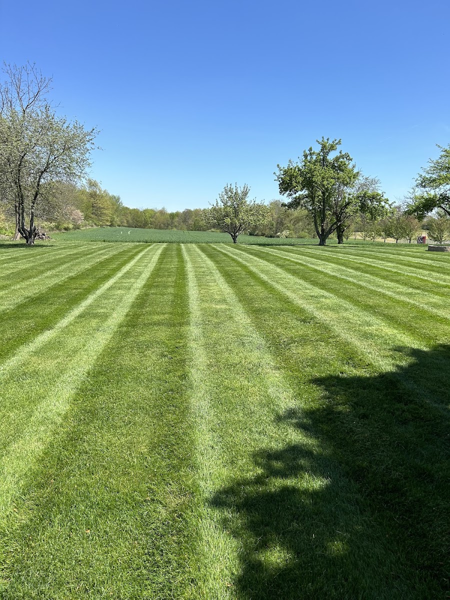 Sweet and Low Lawncare LLC landscapers project photo