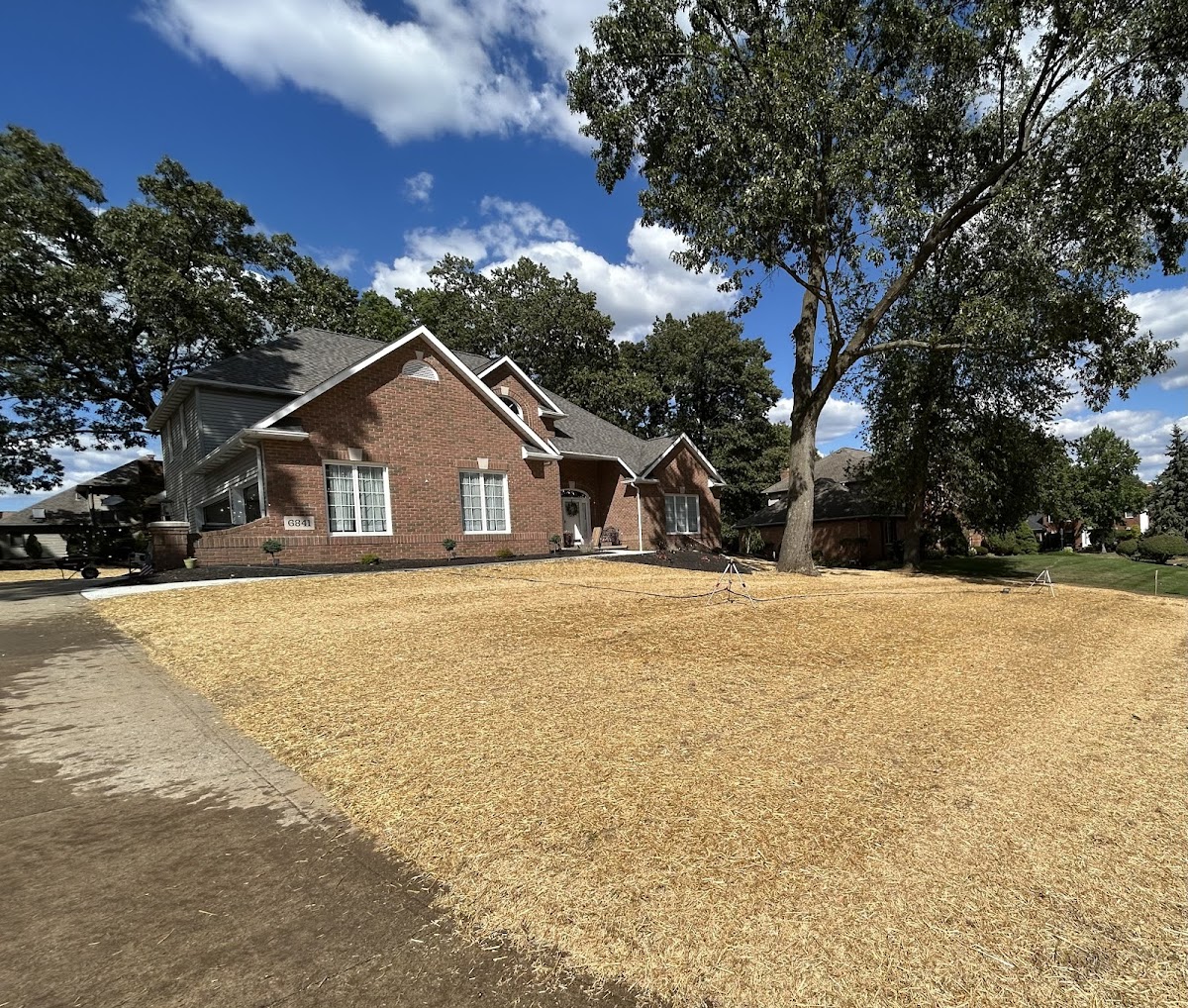 TERRAGREEN landscapers project photo