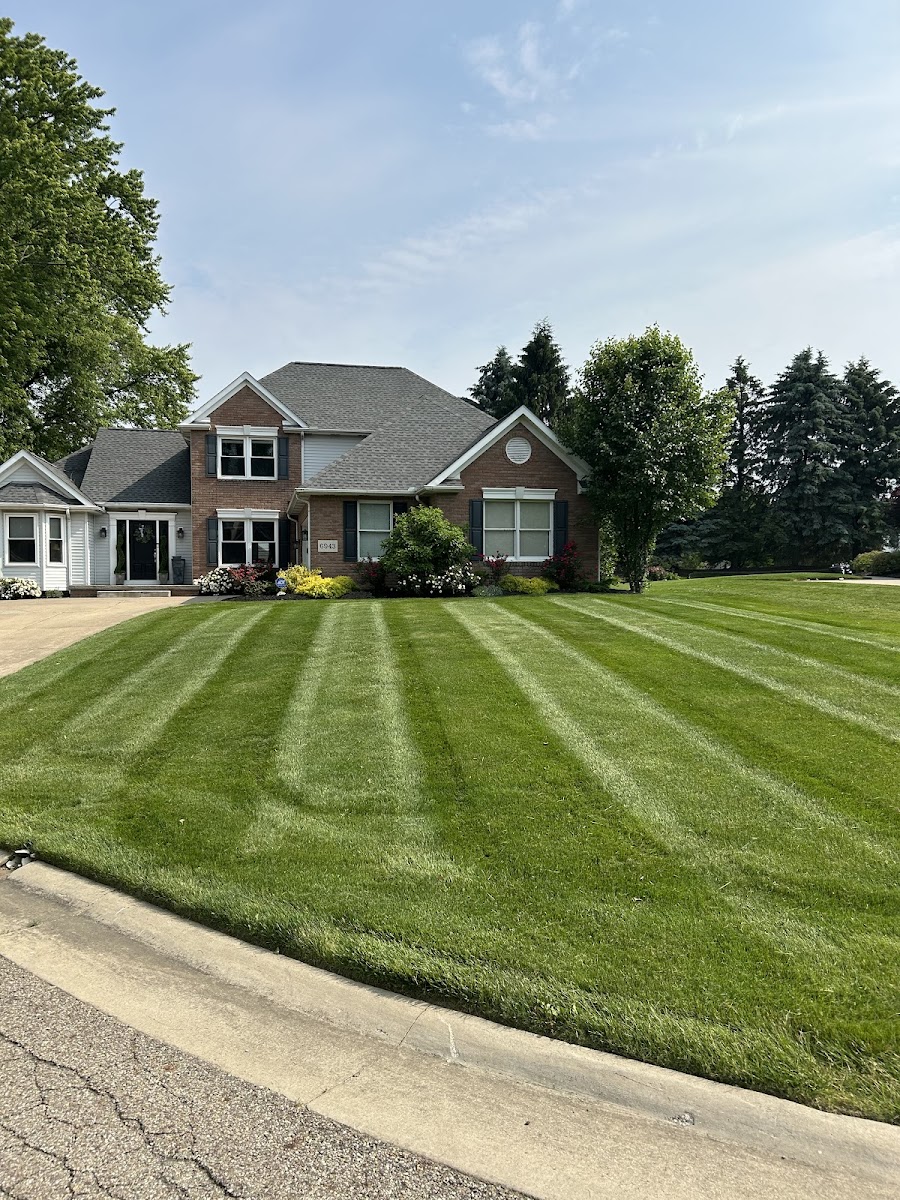 TERRAGREEN landscapers project photo