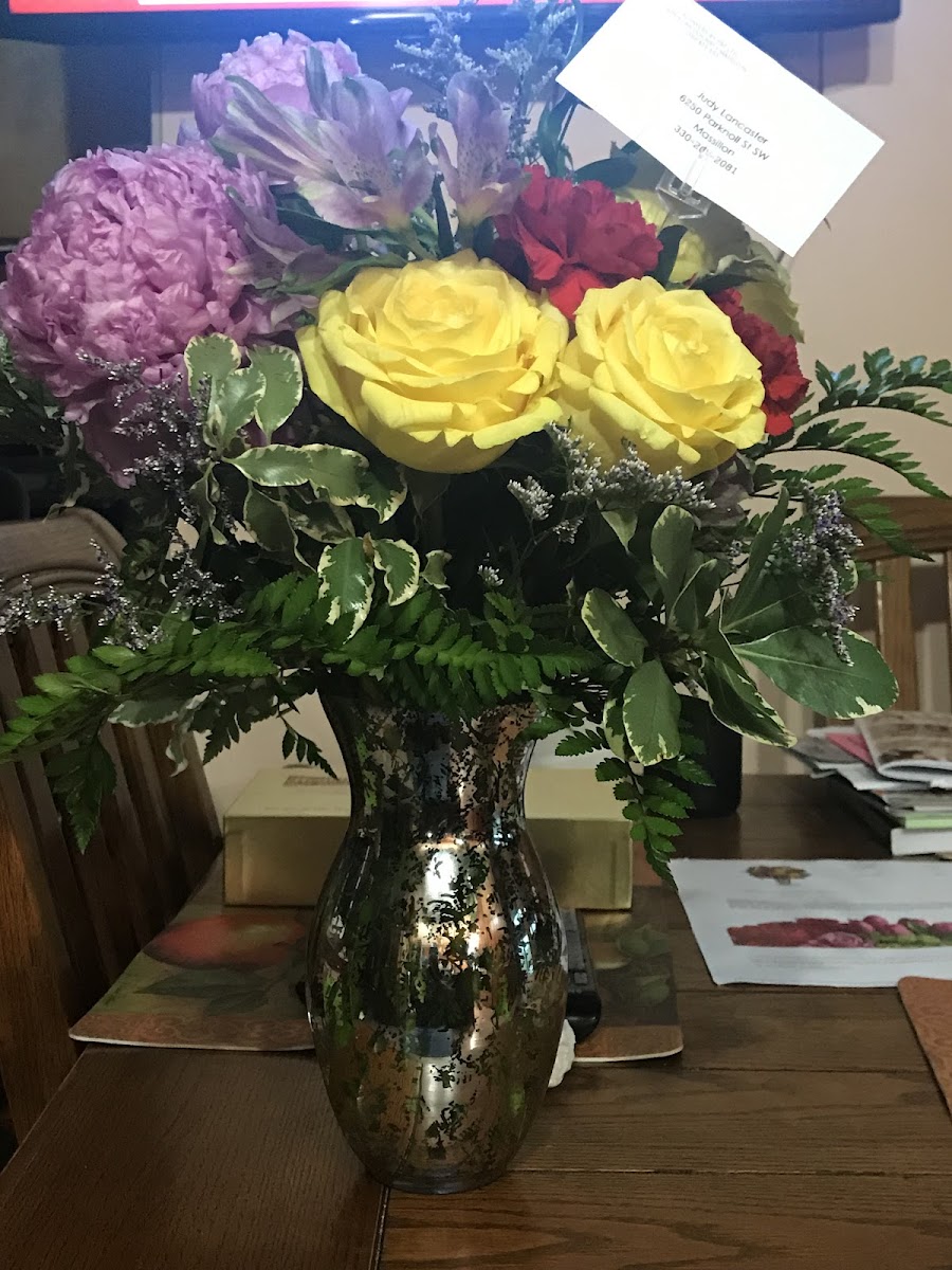 Flowers by Pat florists project photo