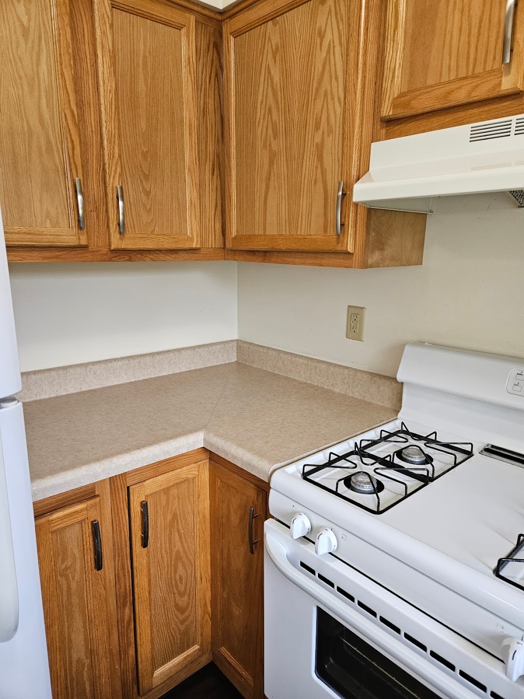 Maid in Orrville cleaners project photo