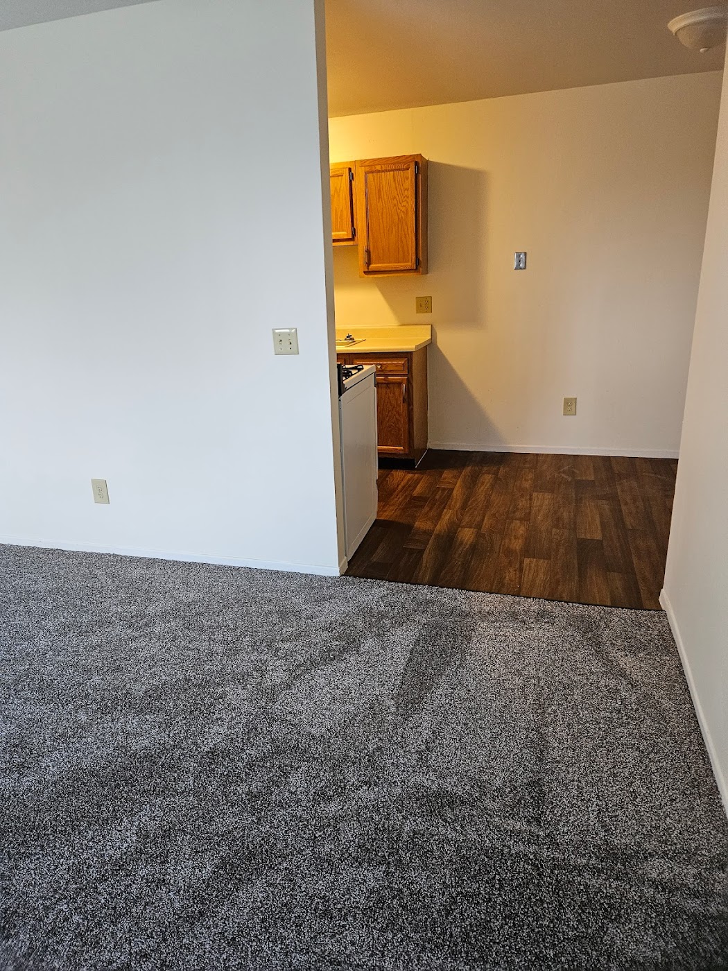 Maid in Orrville cleaners project photo