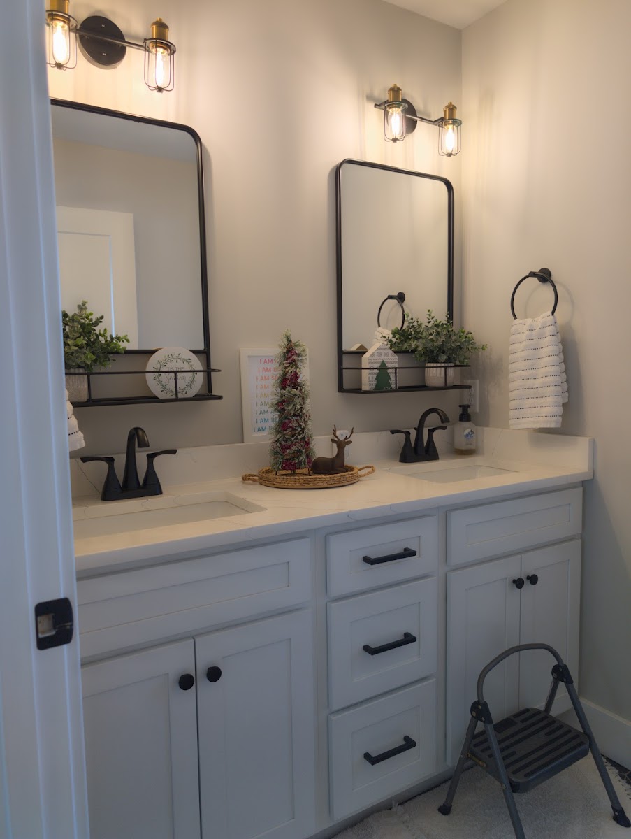 Shine With Us LLC cleaners project photo