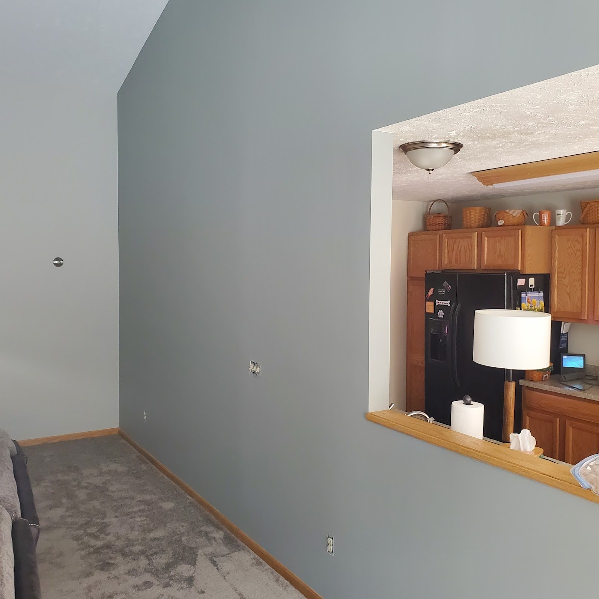 Paramount Painting painters project photo