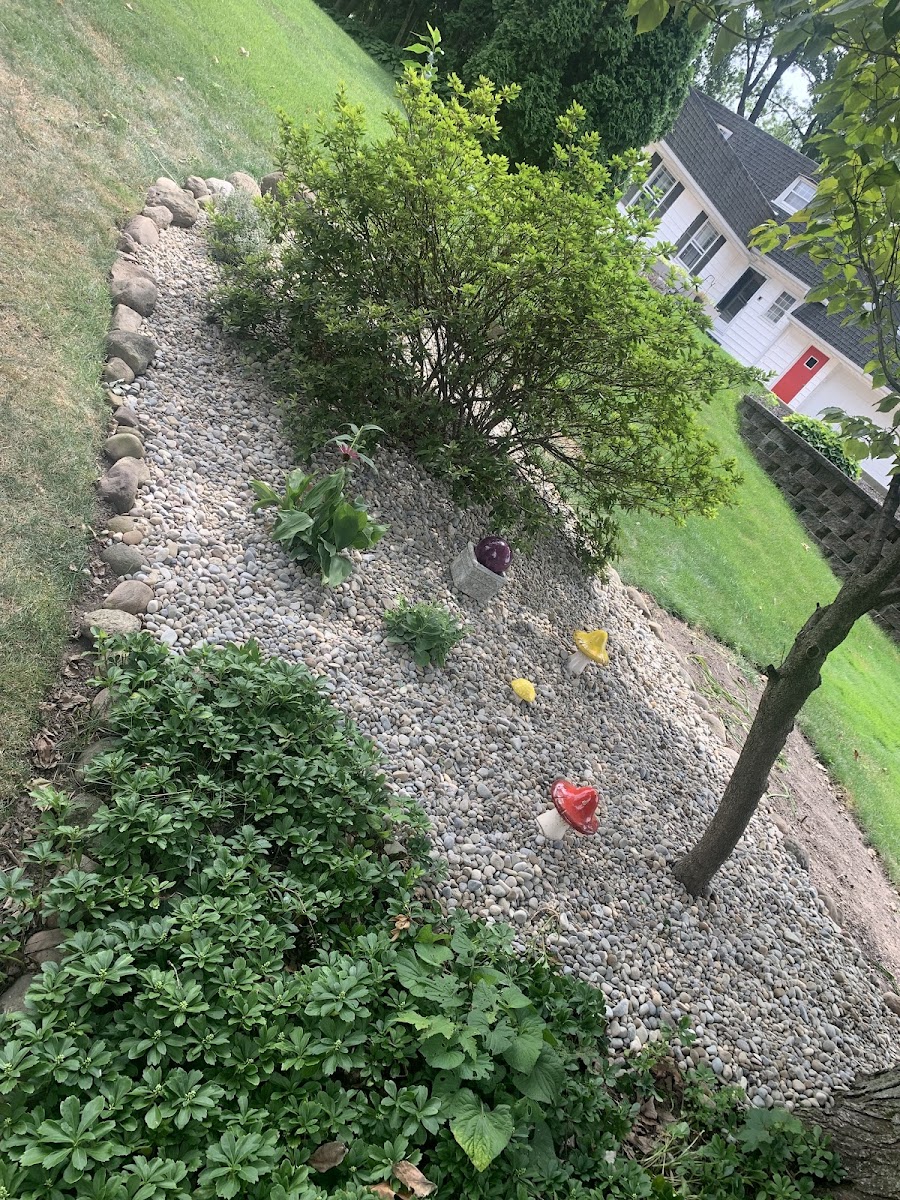J.Boughman Lawns & Landscape LLC landscapers project photo
