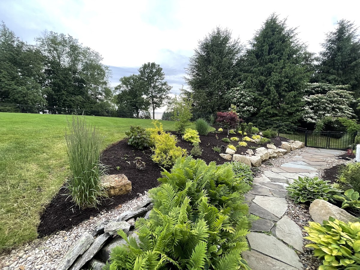 Ray Bros. Landscape & Design landscapers project photo