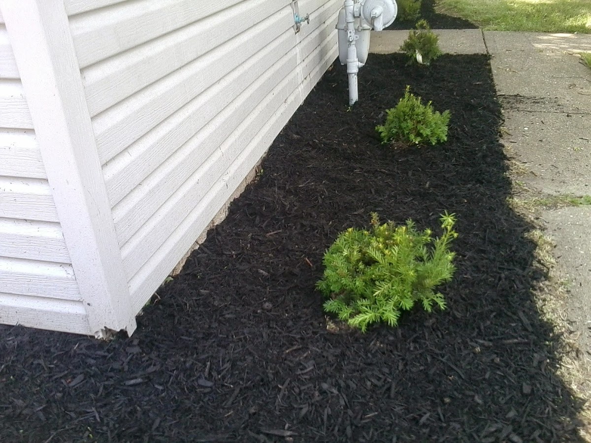 Bill's Landscaping landscapers project photo
