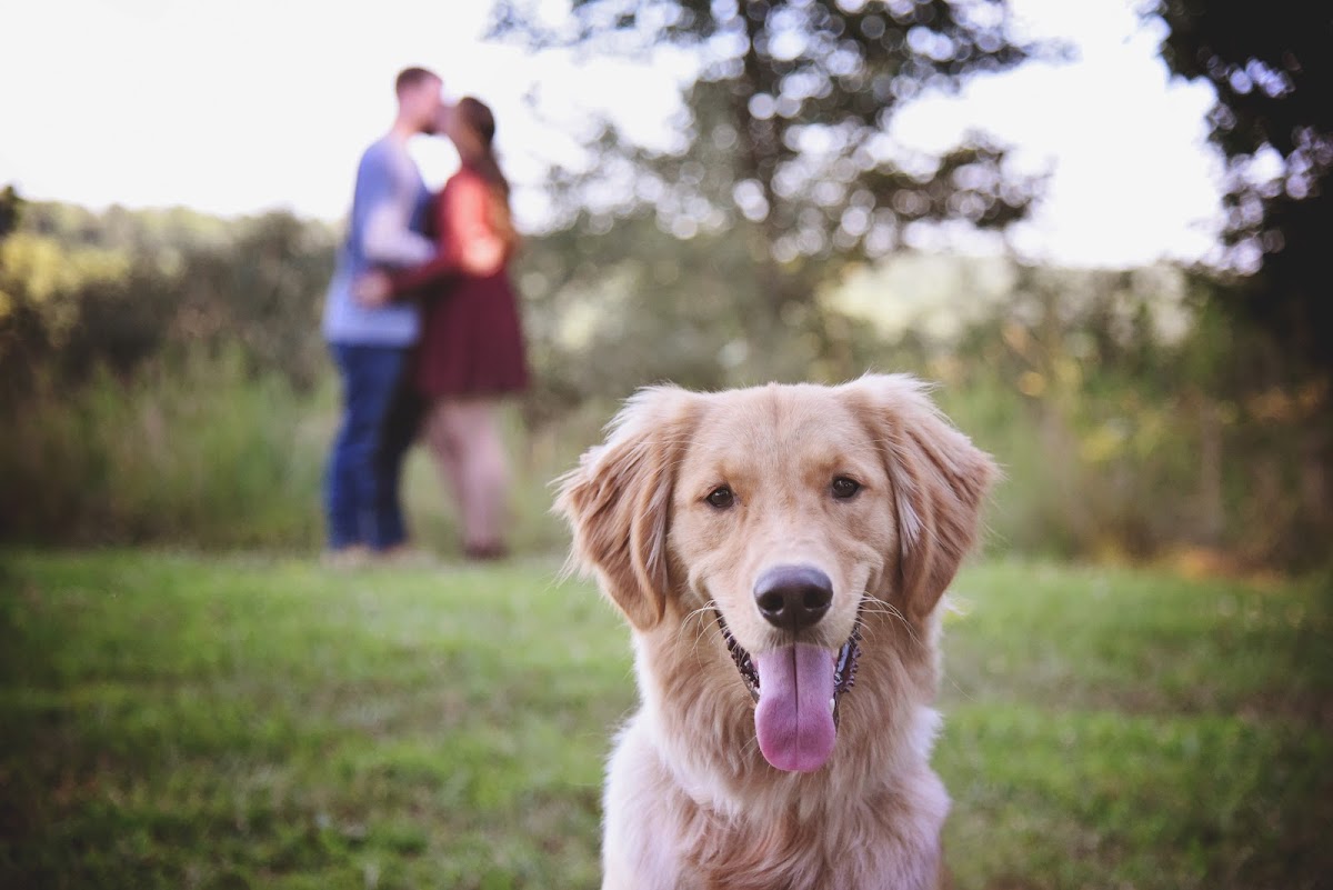 Rustic Design Photography wedding photographers project photo