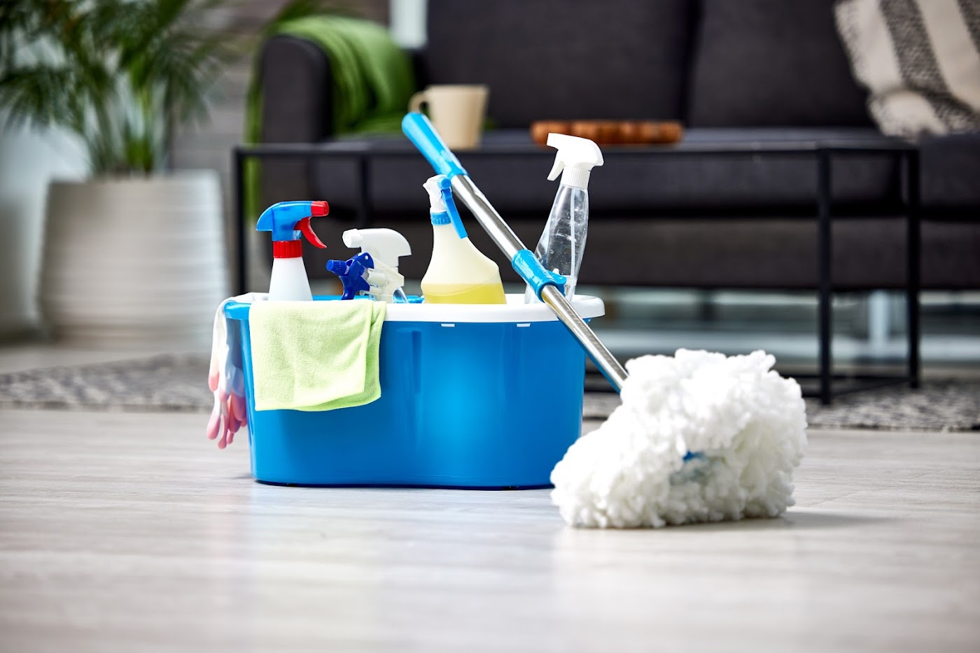 HARSH'S CLEANING SERVICES LLC cleaners project photo