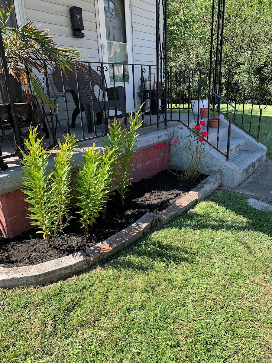 Grass Bird Landscaping landscapers project photo