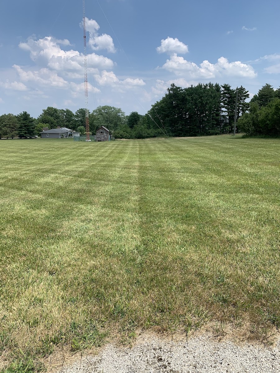 Grass Bird Landscaping landscapers project photo