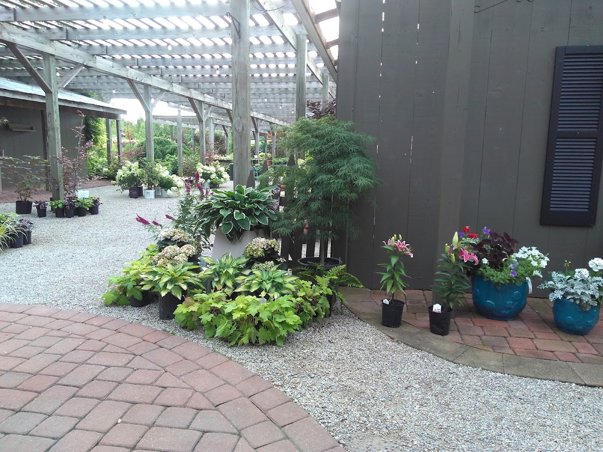 Moyer's Nursery & Landscaping landscapers project photo
