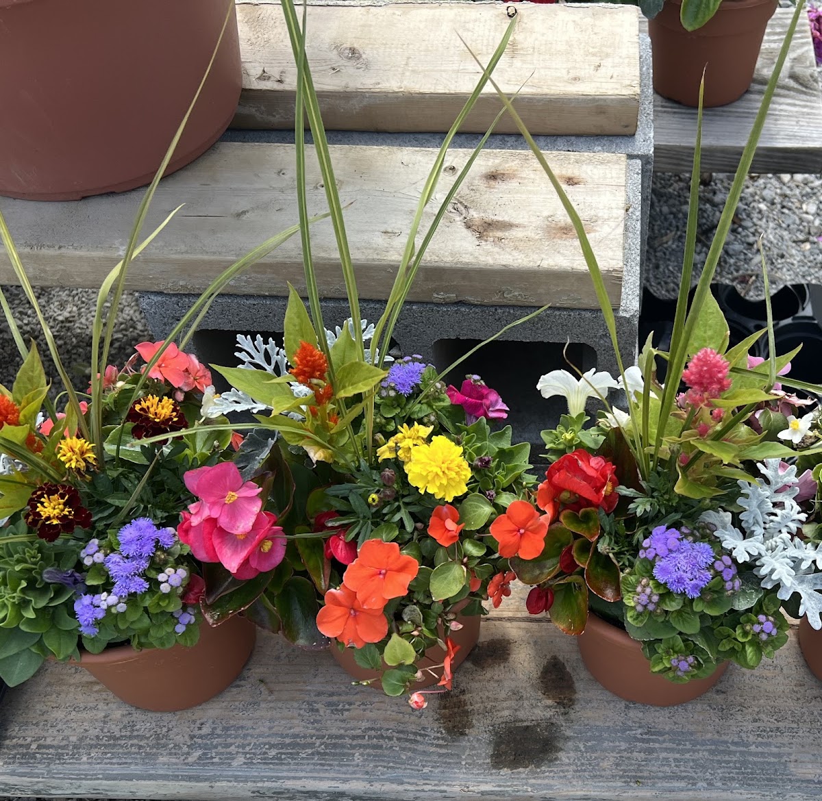 DL Supply landscapers project photo