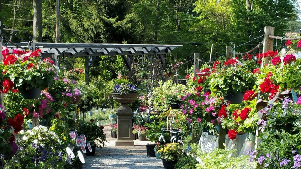 Lafayette Forest Nursery landscapers project photo
