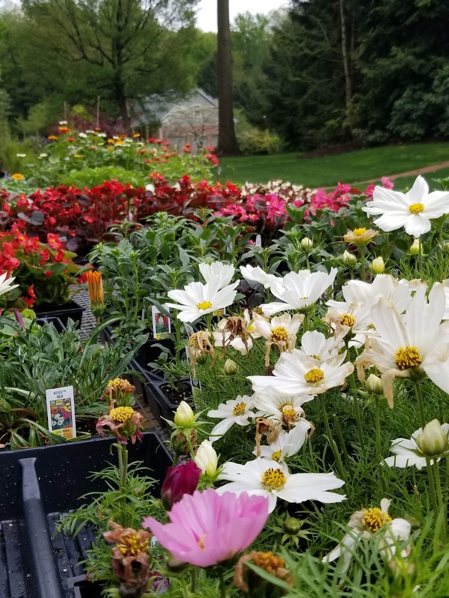 Lafayette Forest Nursery landscapers project photo