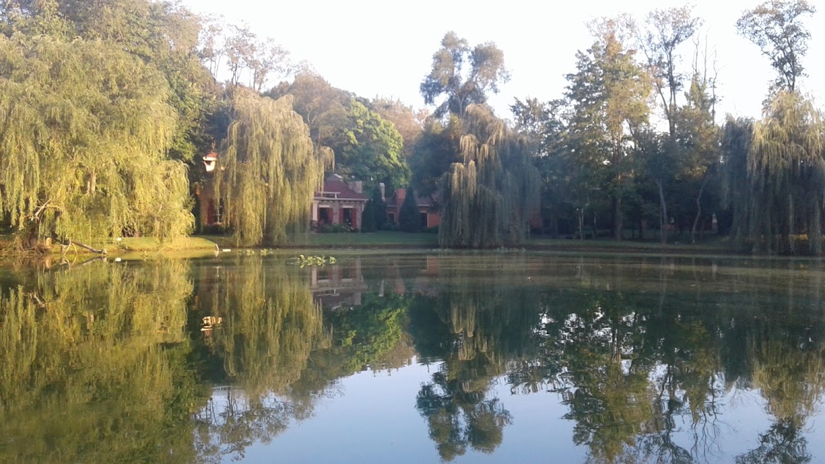 Rice's landscapers project photo