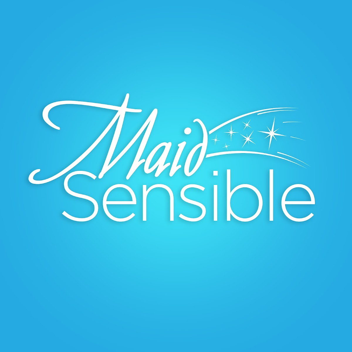 Maid Sensible cleaners project photo