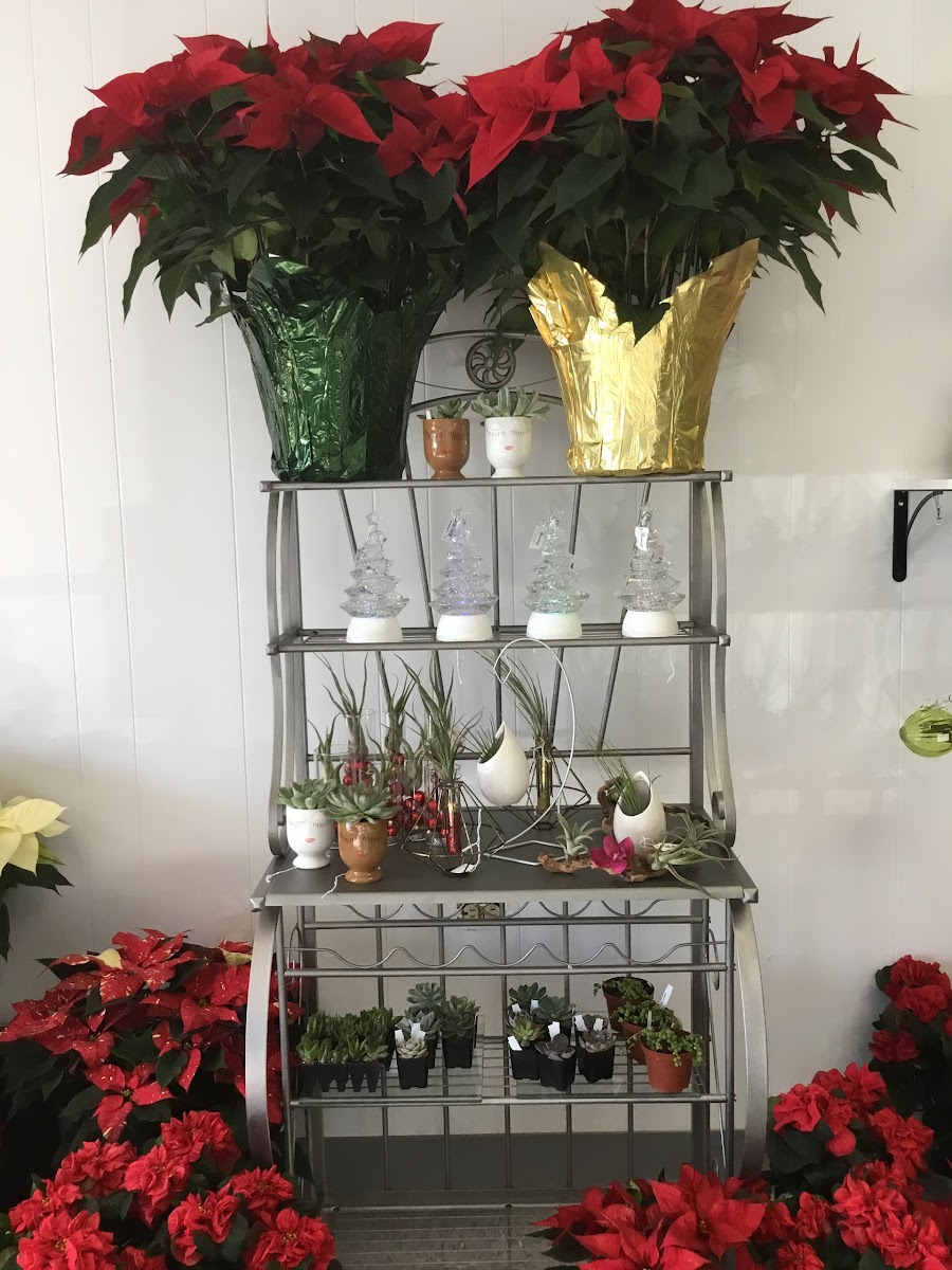 Green Belladonna Florist florists project photo