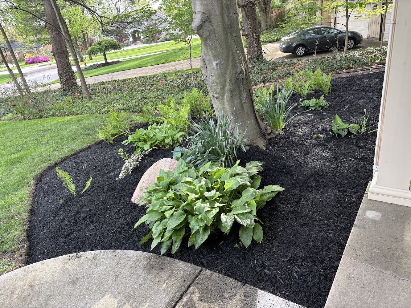 Going Yard Lawn & Landscape