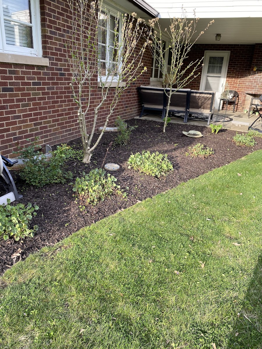 Fili Property Maintenance Co. landscapers project photo