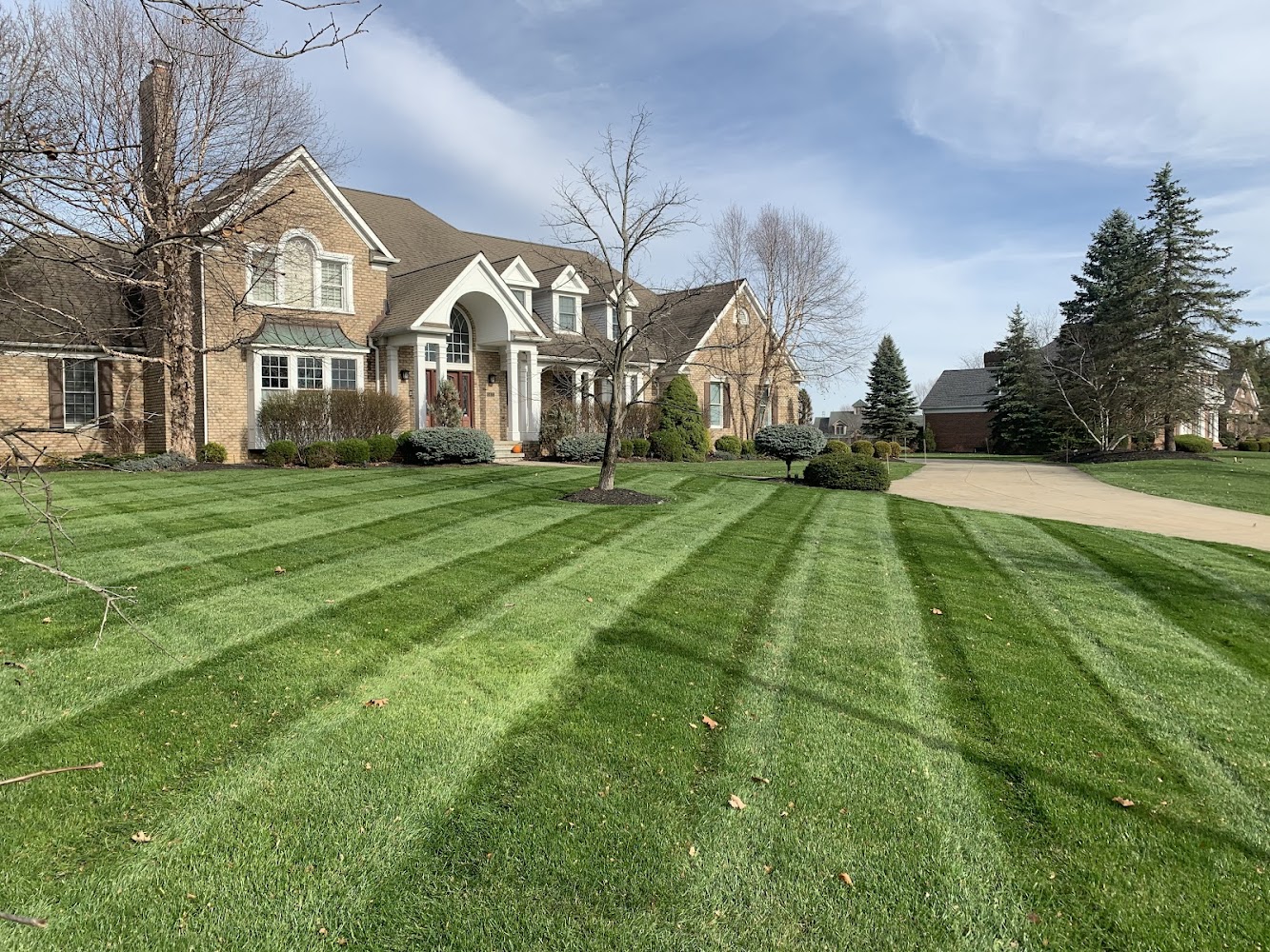 D&D Landscaping Services landscapers project photo