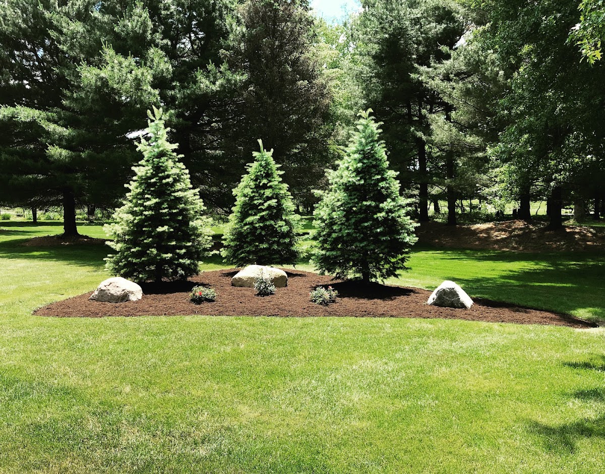 D&D Landscaping Services landscapers project photo
