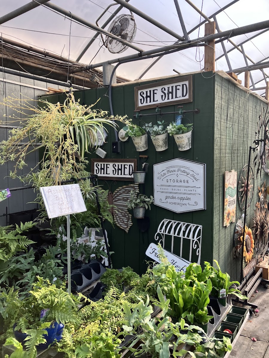 Kern's Florist and Greenhouse florists project photo