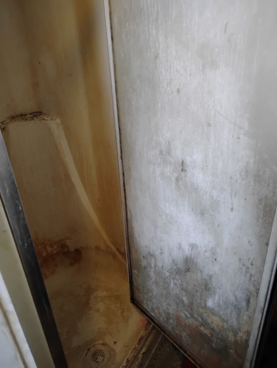 Clean 4 U Homes LLC cleaners project photo
