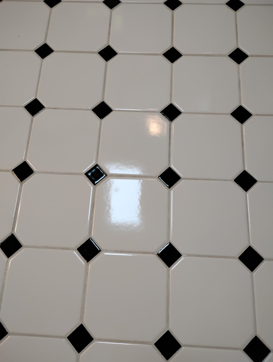 Clean 4 U Homes LLC cleaners project photo