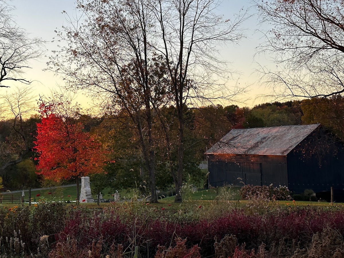 Magnolia Spring Farm caterers project photo