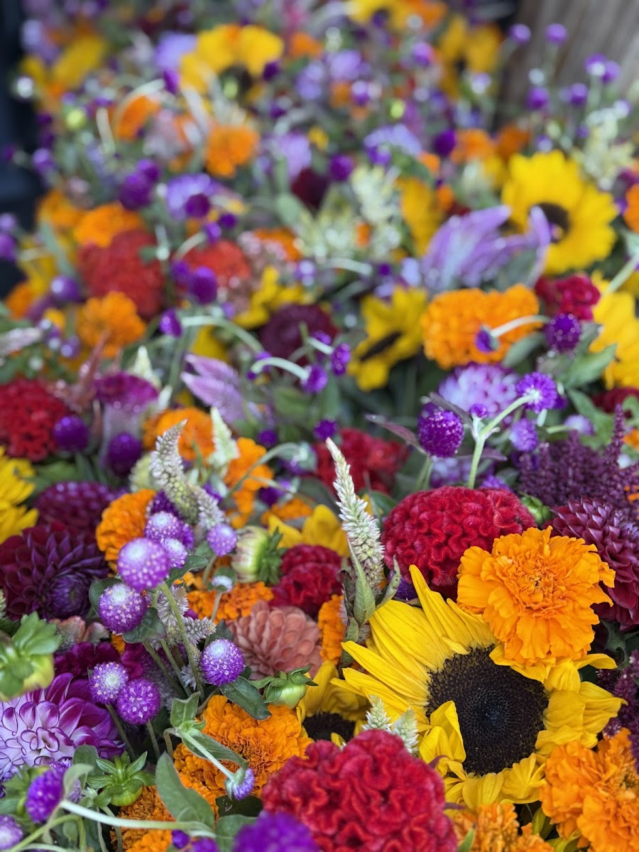 Timeless Floral Designs -N- Boutique florists project photo