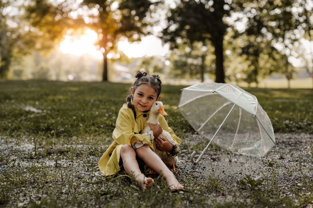 HWhaley Photography, LLC wedding photographers project photo