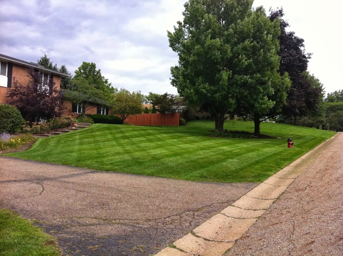 Another Kind Of Green, Inc. Landscaping And Lawn Care landscapers project photo