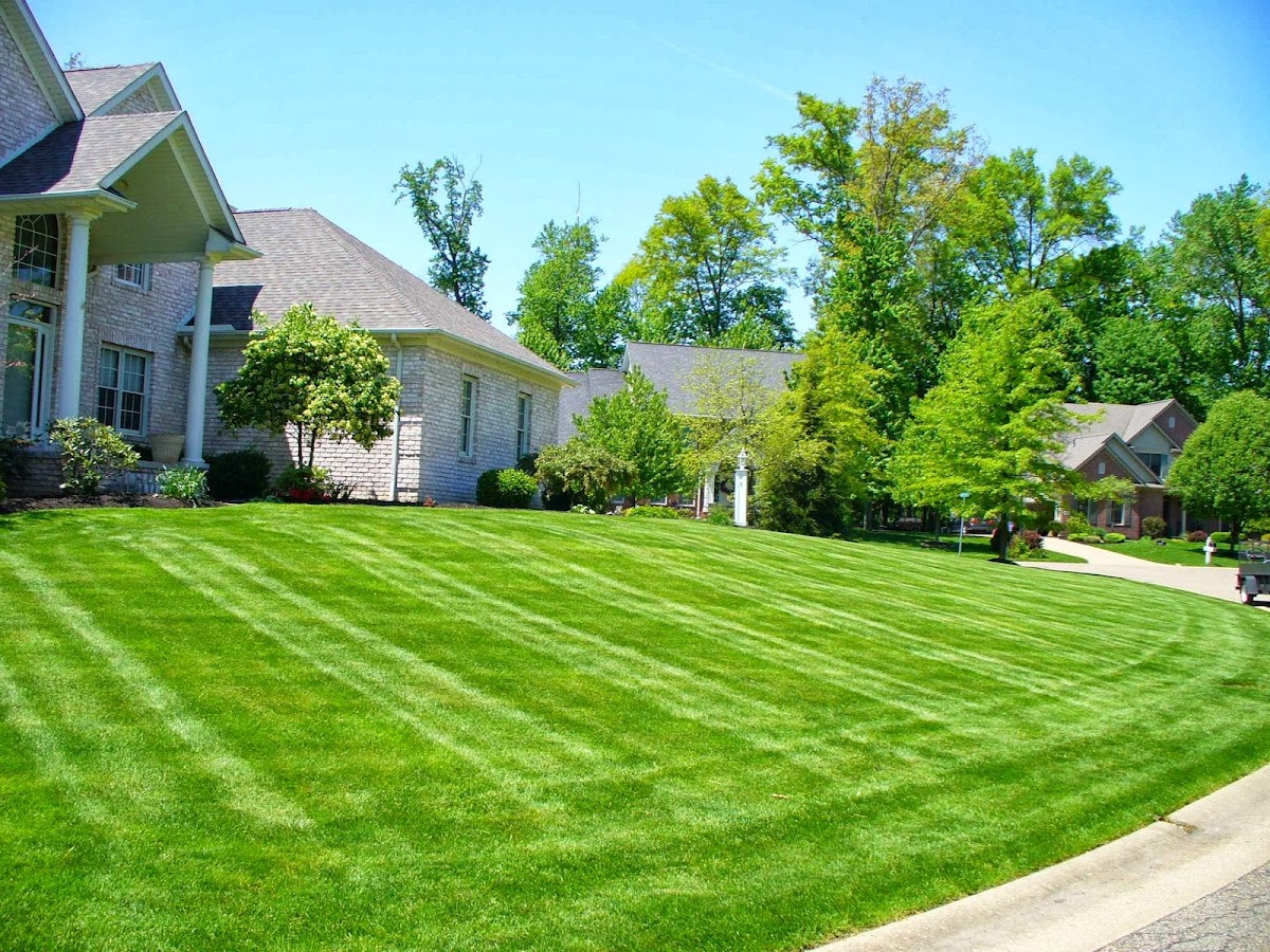 Another Kind Of Green, Inc. Landscaping And Lawn Care landscapers project photo