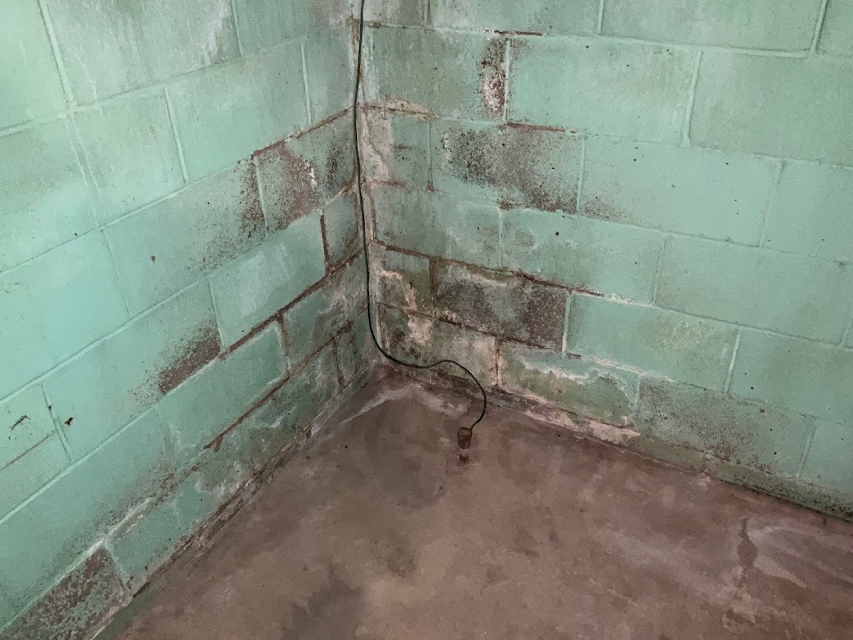 Acculevel general contractors project photo
