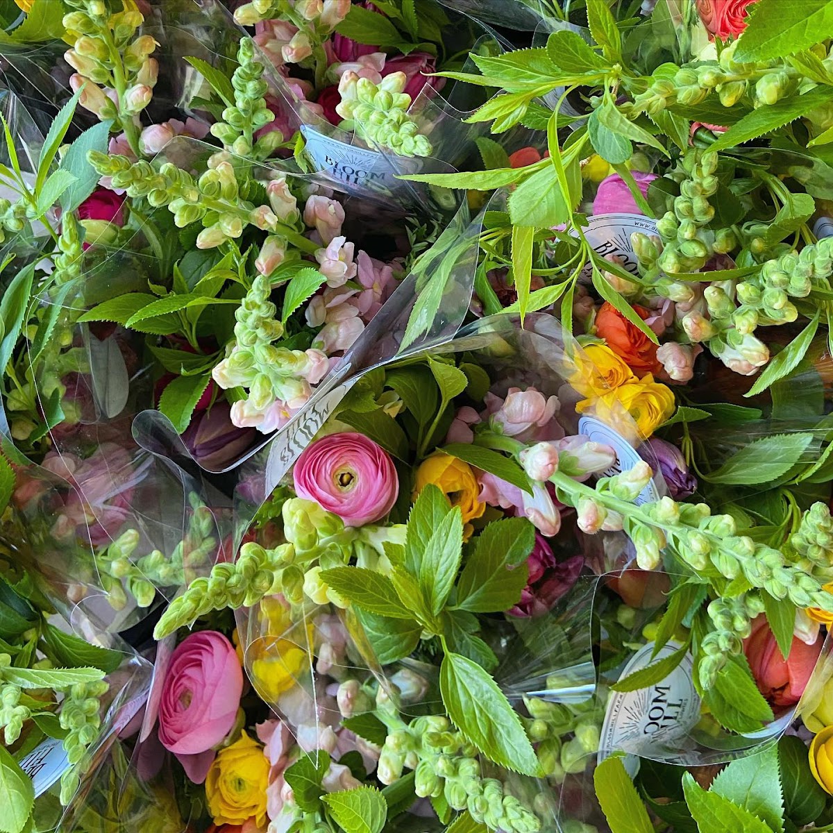 Bloom Hill Farm florists project photo