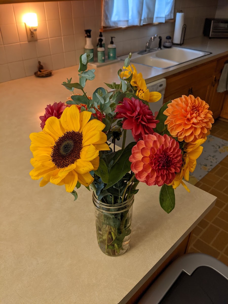 Bloom Hill Farm florists project photo