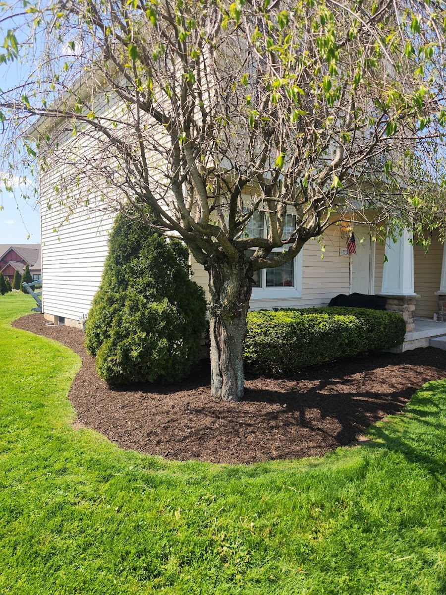 StarkScapes, LLC landscapers project photo