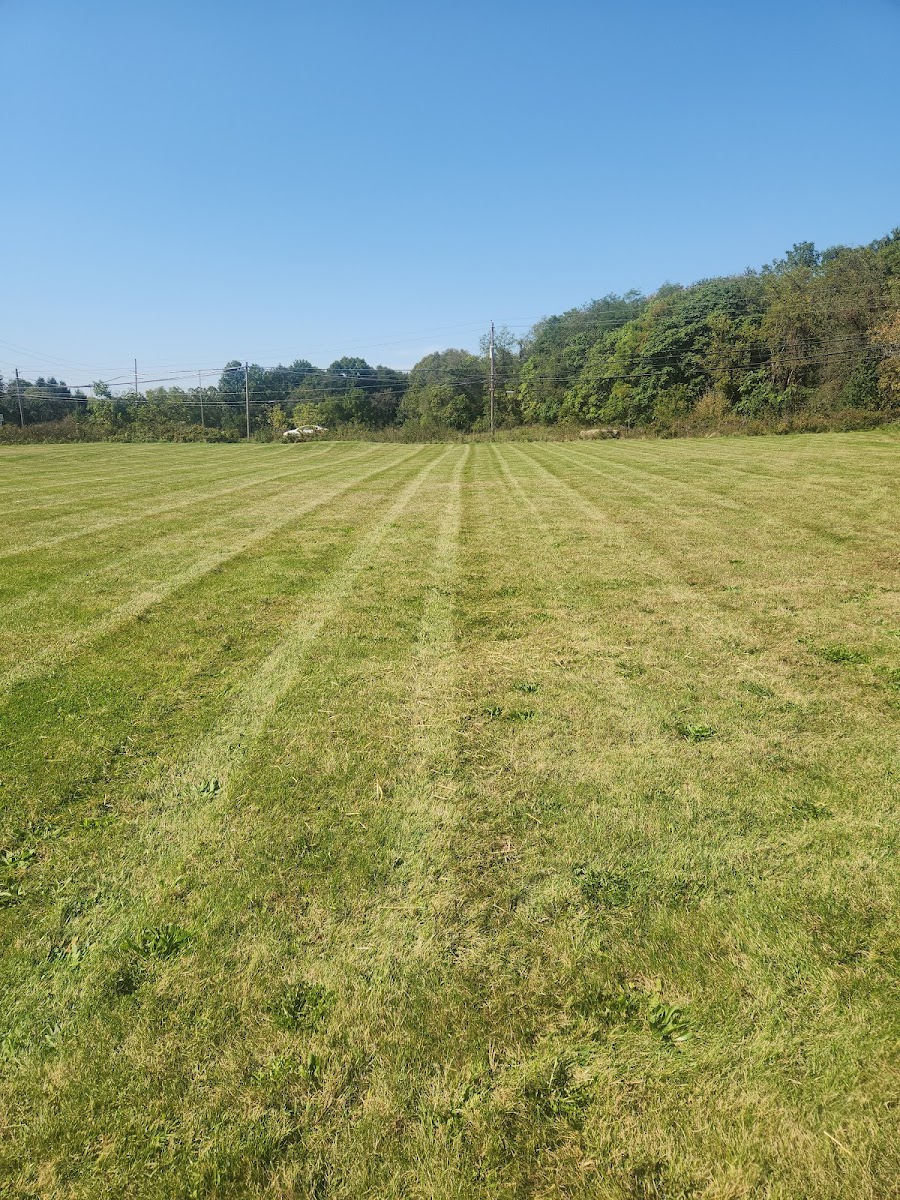 StarkScapes, LLC landscapers project photo
