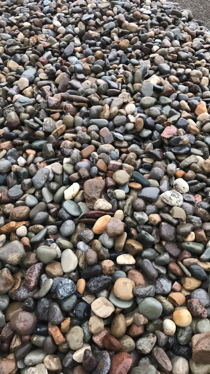 Soehnlen Brother Sand-Gravel landscapers project photo