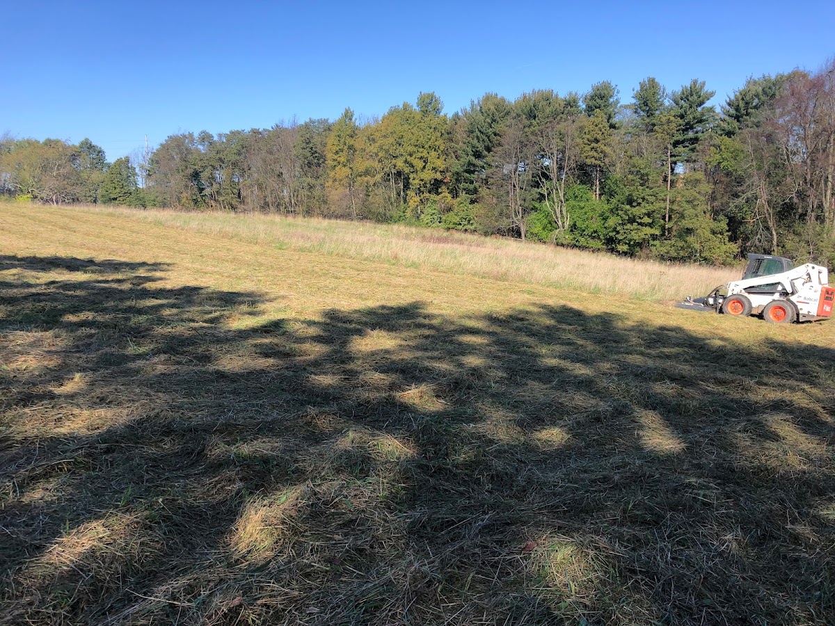 Marcelli's Lawn and Land Care landscapers project photo