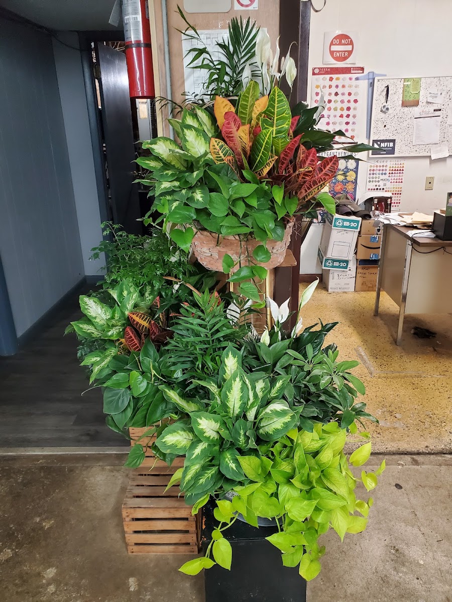 Canton Wholesale Floral Inc florists project photo