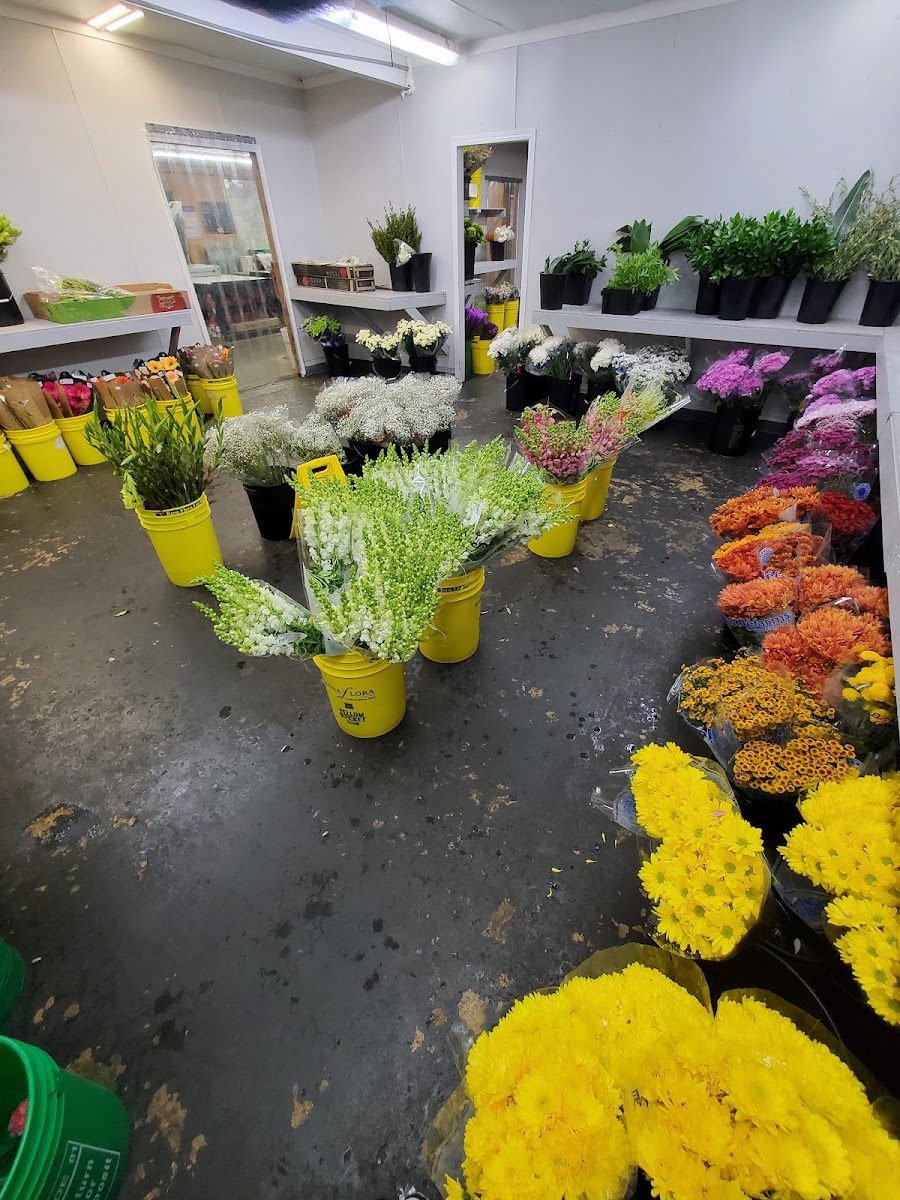 Canton Wholesale Floral Inc florists project photo