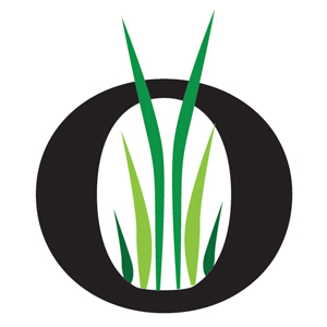 Opening Day Lawn & Landscape LLC logo