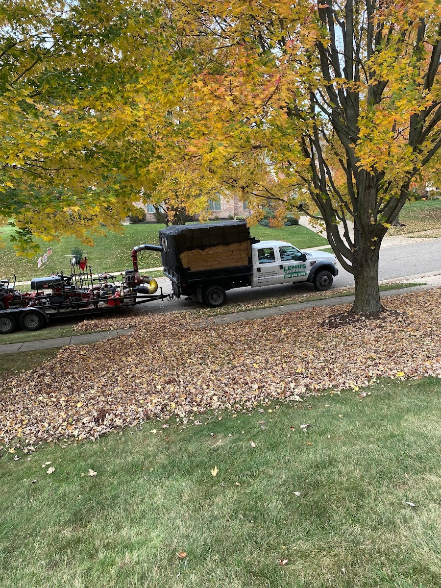 Lemus Lawn Care LLC landscapers project photo